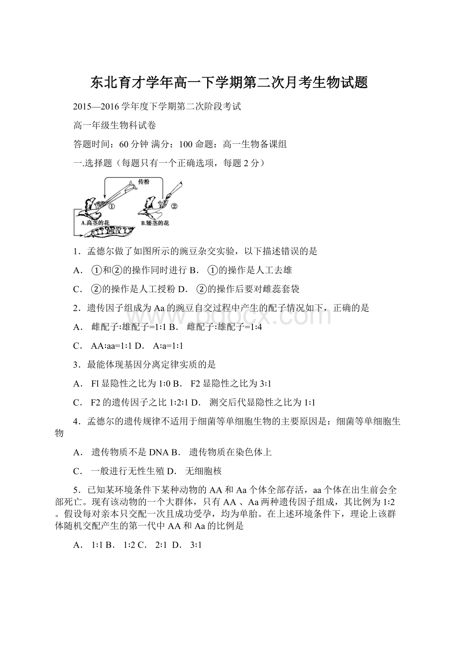 东北育才学年高一下学期第二次月考生物试题.docx