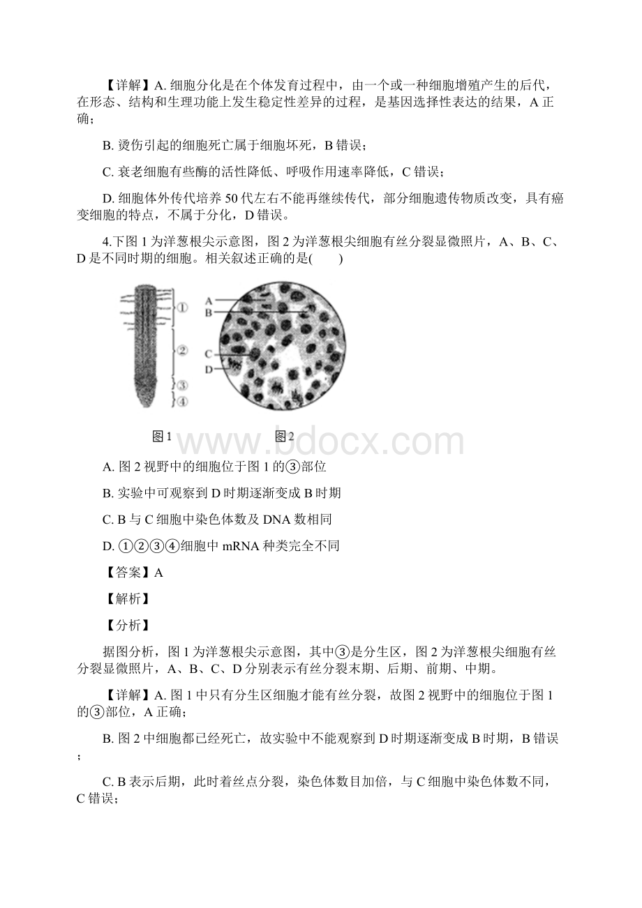 江苏省泰州市届高三上学期期末考试生物试题附解析.docx_第3页