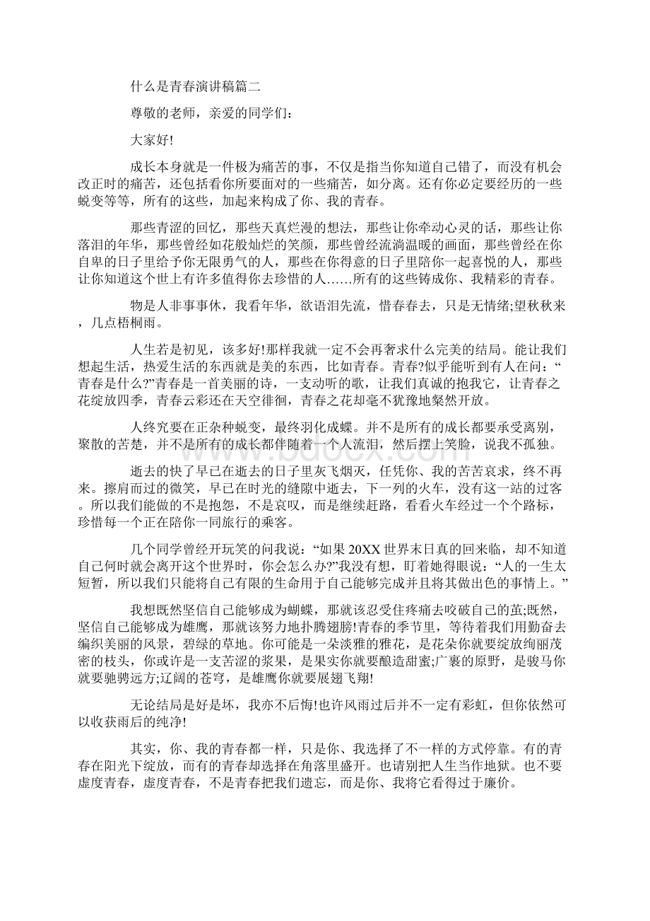 什么是青春演讲稿范文大全450字.docx_第2页