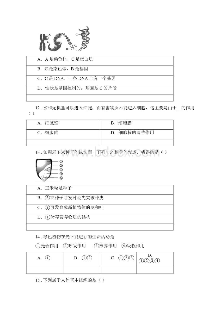 人教版新课程标准七年级上学期期末生物试题II卷.docx_第3页