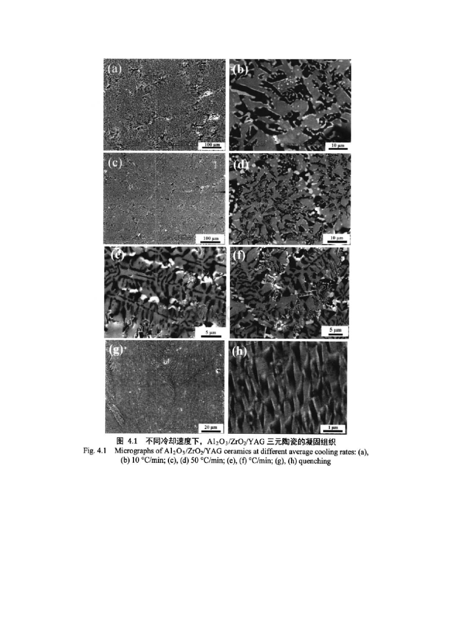 冷却速度对共晶陶瓷组织性能的影响.docx_第3页