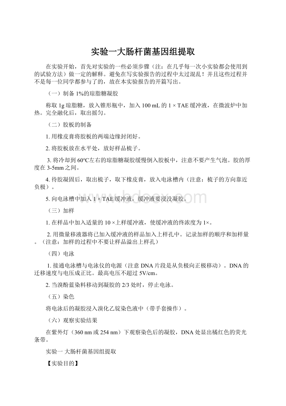 实验一大肠杆菌基因组提取.docx_第1页