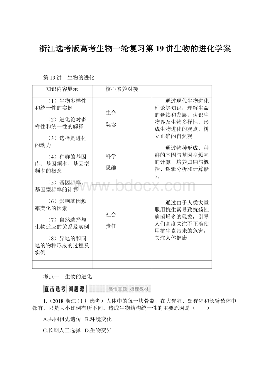 浙江选考版高考生物一轮复习第19讲生物的进化学案Word格式文档下载.docx