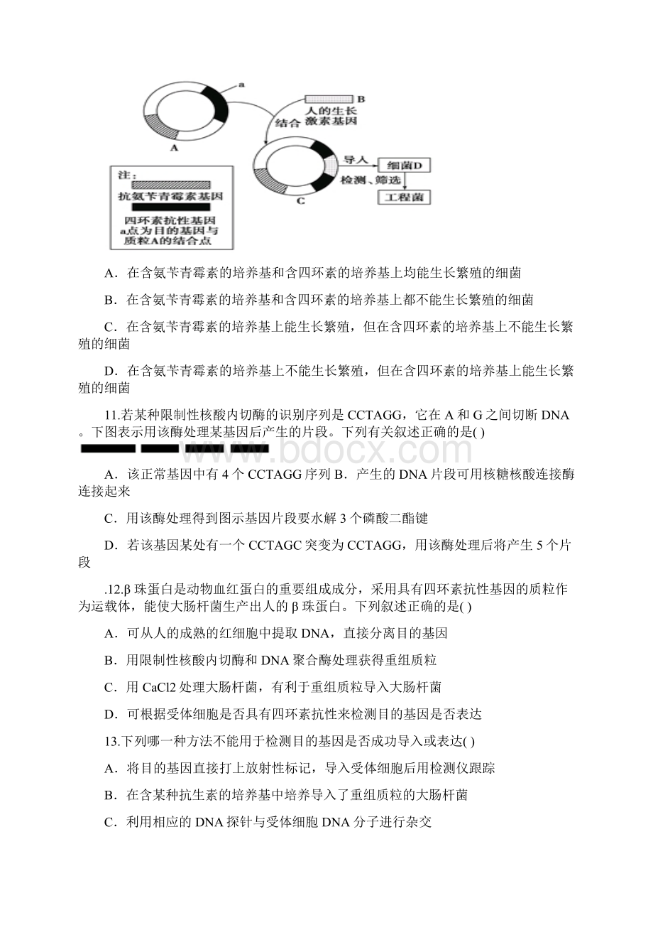 专题1 基因工程 专题检测.docx_第3页