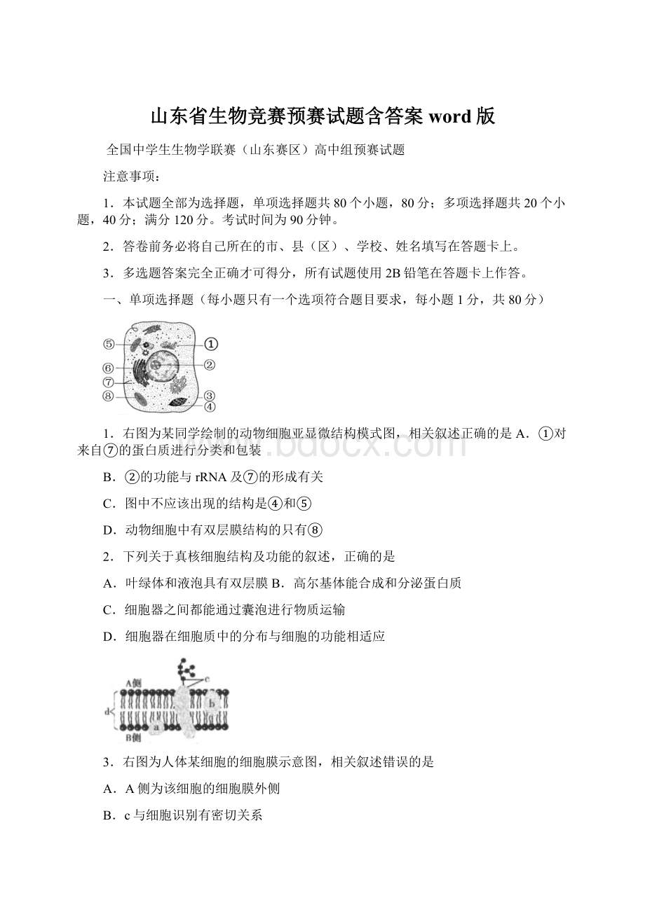 山东省生物竞赛预赛试题含答案word版.docx_第1页