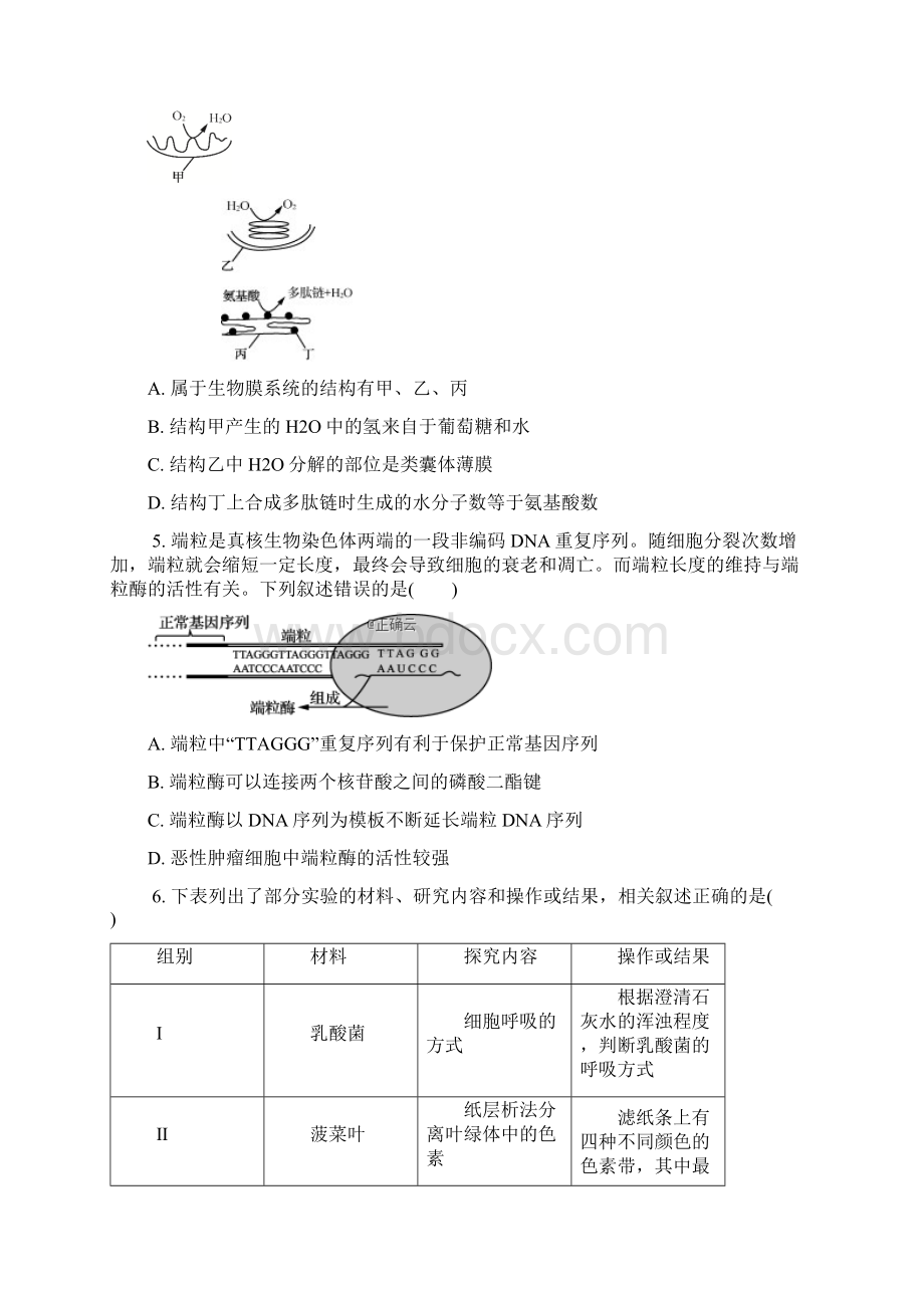 江苏省苏锡常镇四市届高三生物二模考试试题十一07150238Word下载.docx_第2页