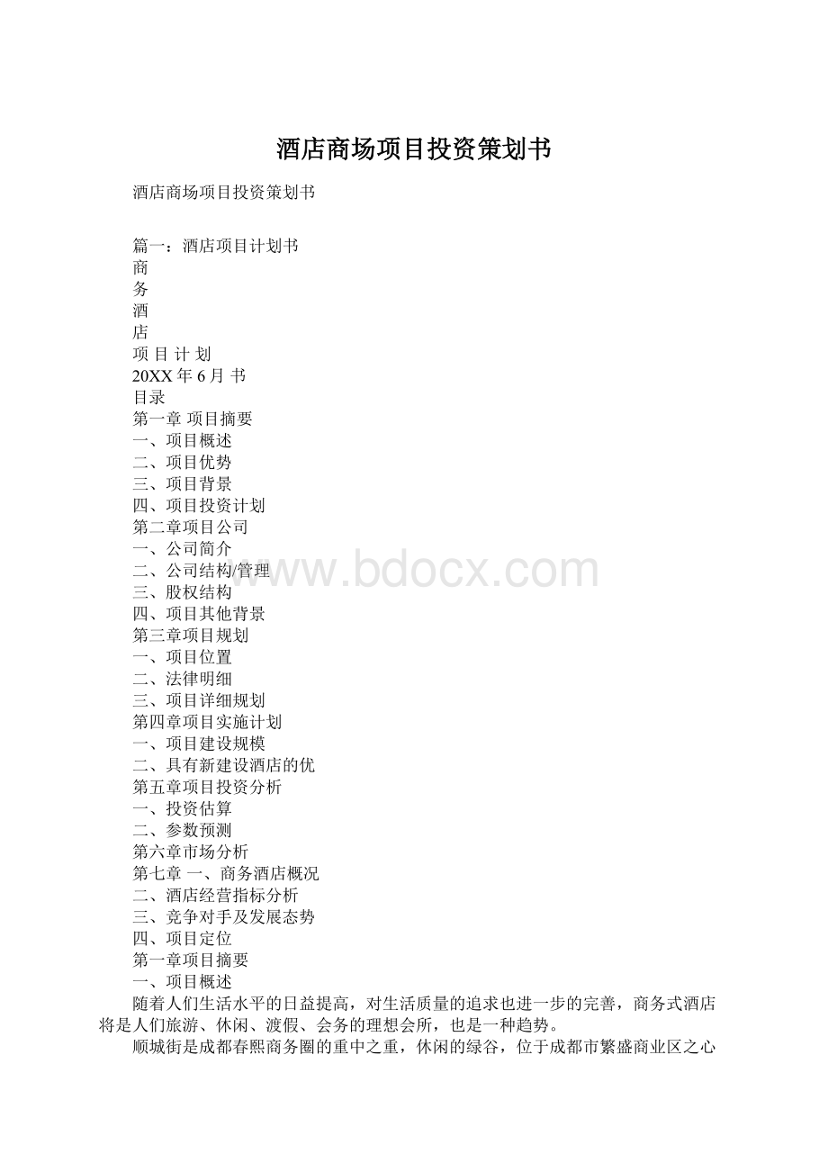 酒店商场项目投资策划书Word文档格式.docx