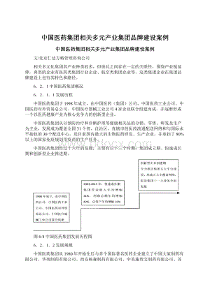 中国医药集团相关多元产业集团品牌建设案例.docx