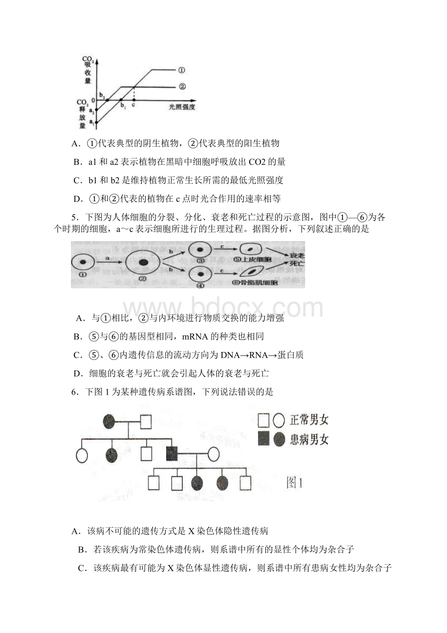 周练.docx_第2页