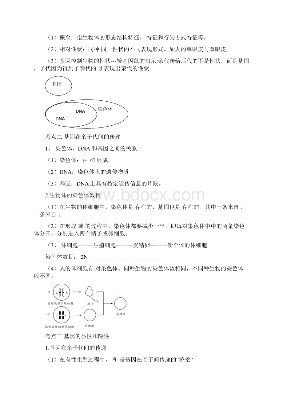 中考生物专题复习第七单元生物圈中的生命的延续和发展第二章生物的遗传和变异21.docx_第2页