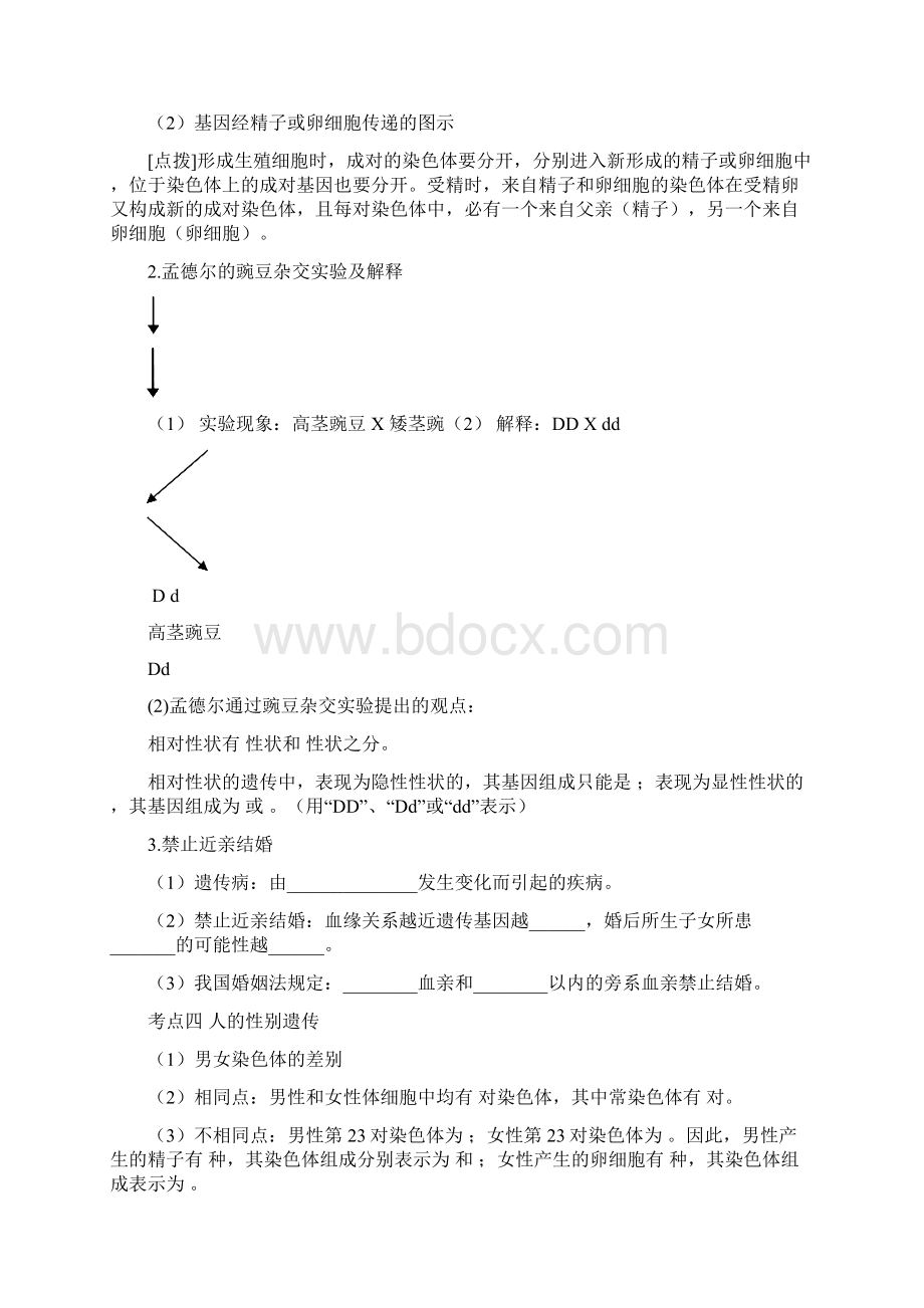 中考生物专题复习第七单元生物圈中的生命的延续和发展第二章生物的遗传和变异21.docx_第3页