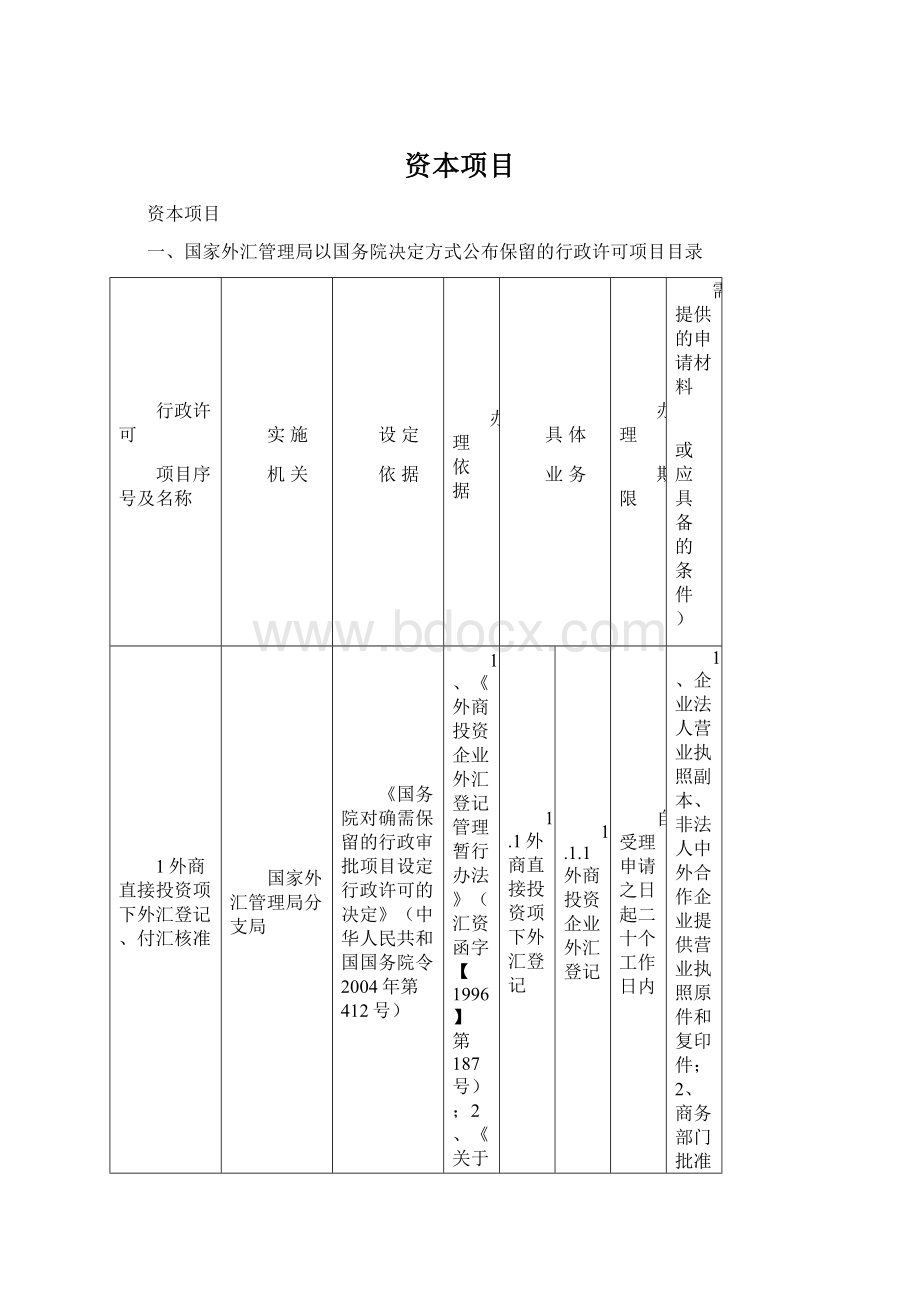 资本项目Word文档下载推荐.docx