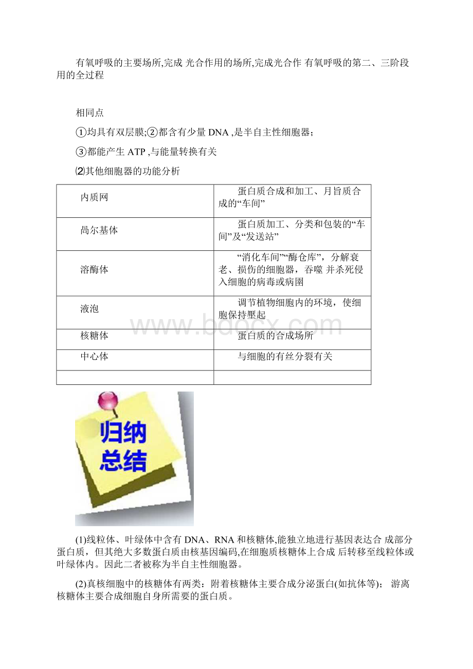 人教通用版高考生物大一轮复习第二单元细胞的基本结构和物质的运输第5讲细胞器和生物膜系统课件Word格式文档下载.docx_第3页