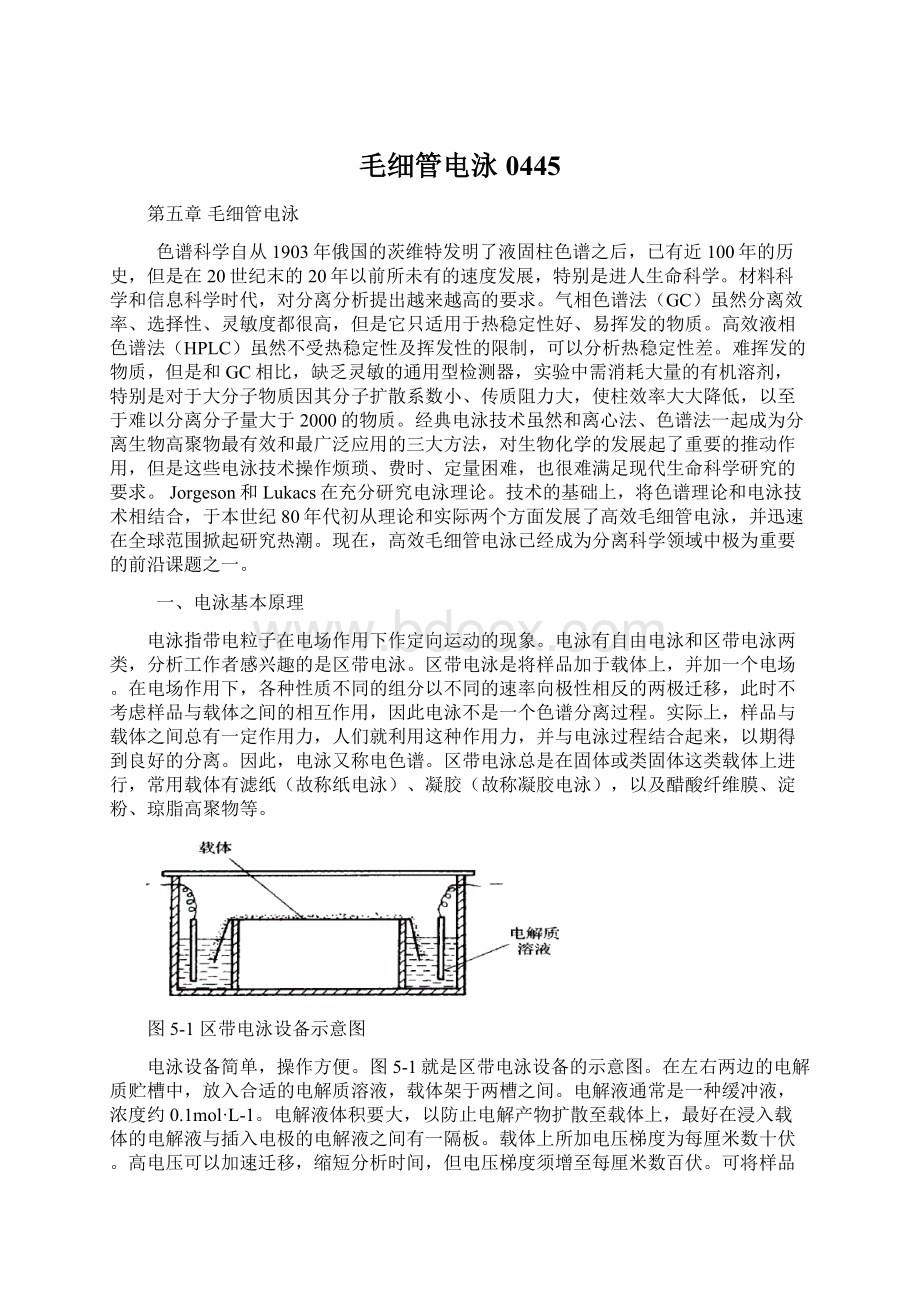 毛细管电泳0445Word格式文档下载.docx