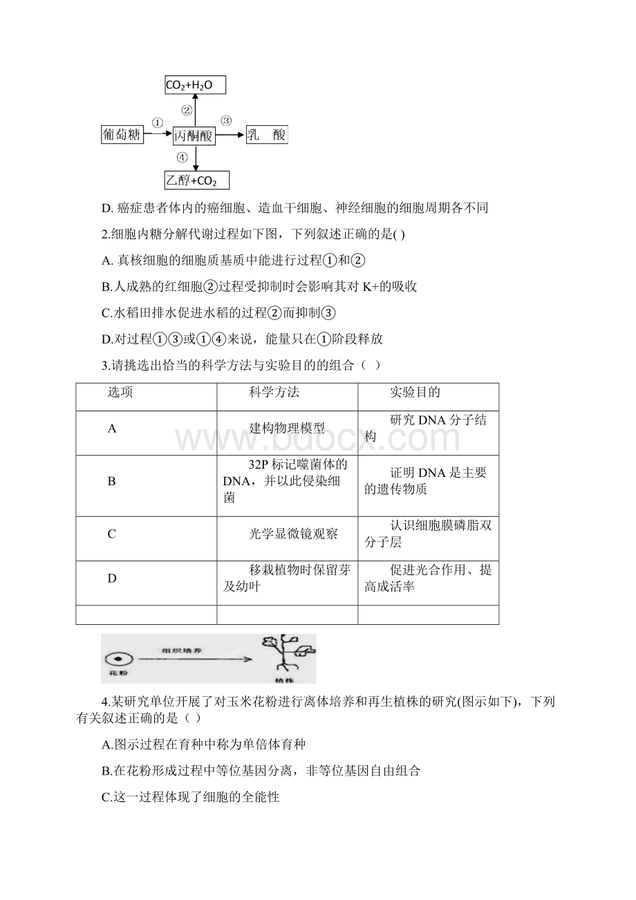 理综卷届江西省九校高三第二次联考04.docx_第2页