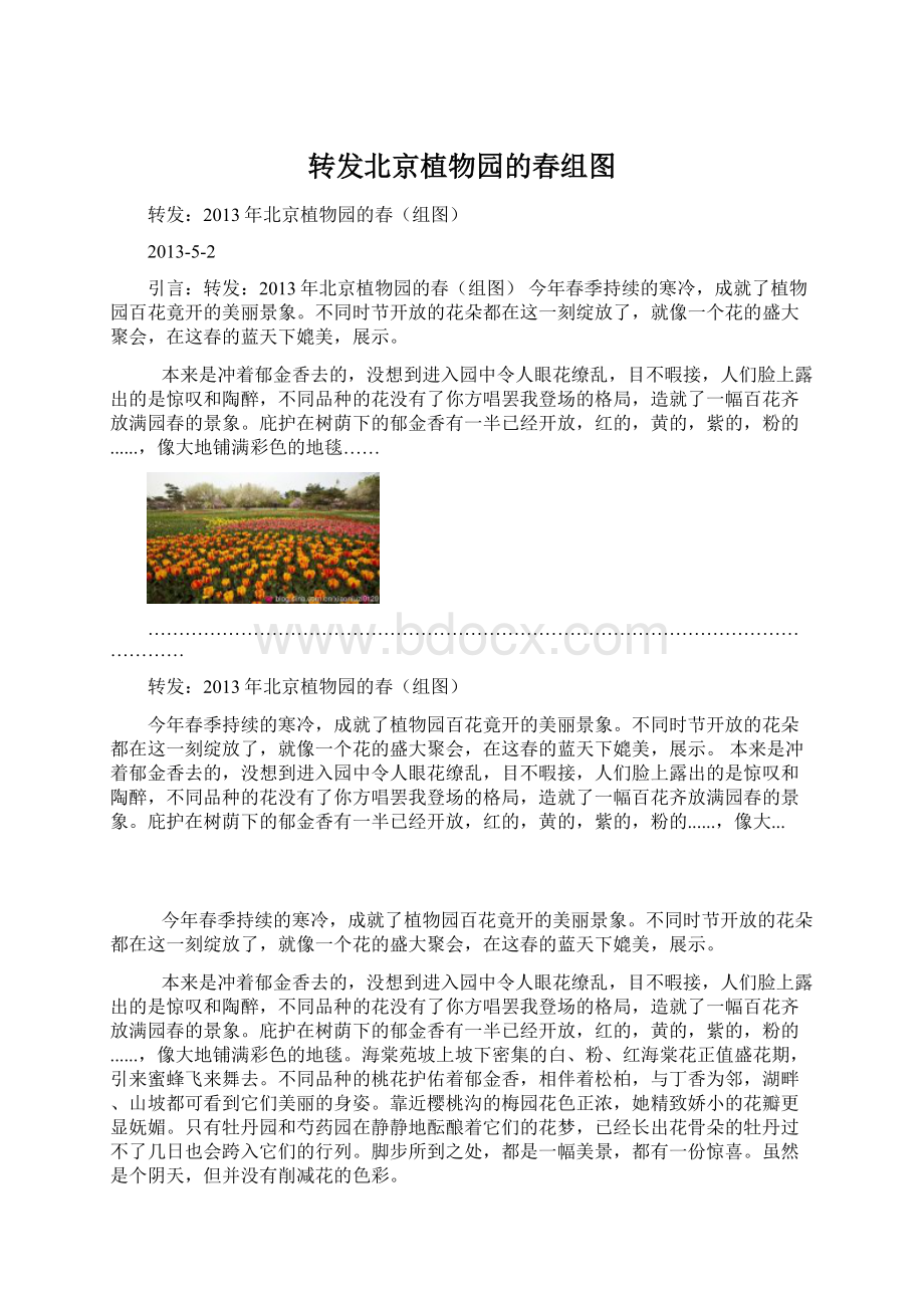 转发北京植物园的春组图Word文件下载.docx_第1页