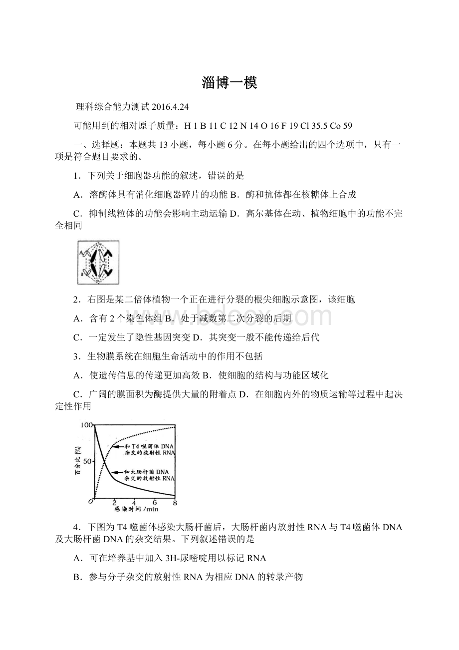 淄博一模Word格式.docx