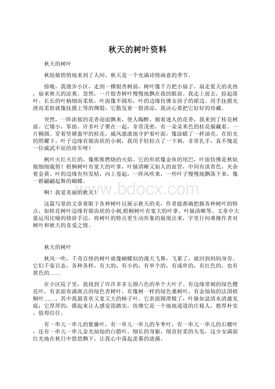 秋天的树叶资料.docx_第1页