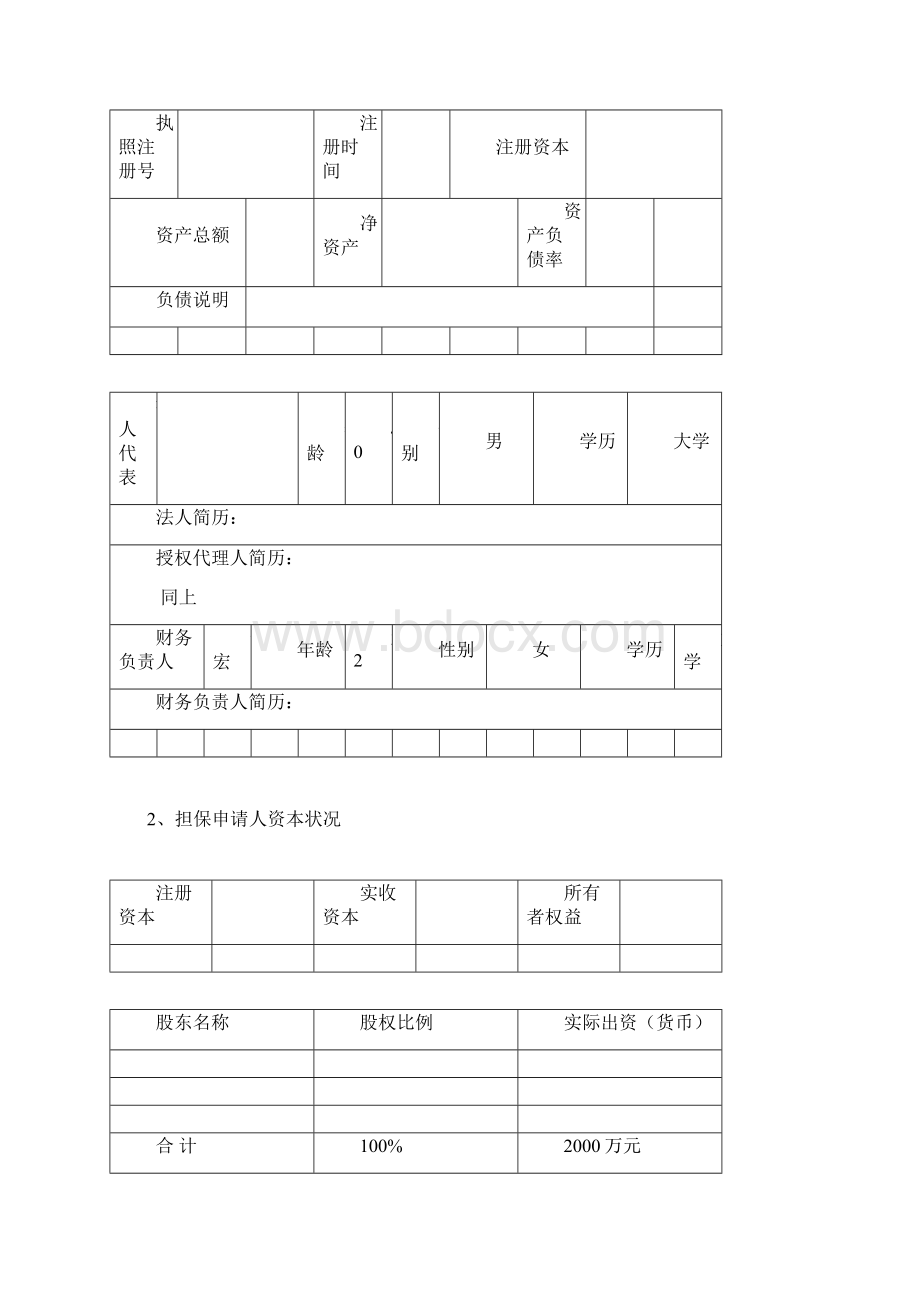 融资担保项目分析报告范例.docx_第3页