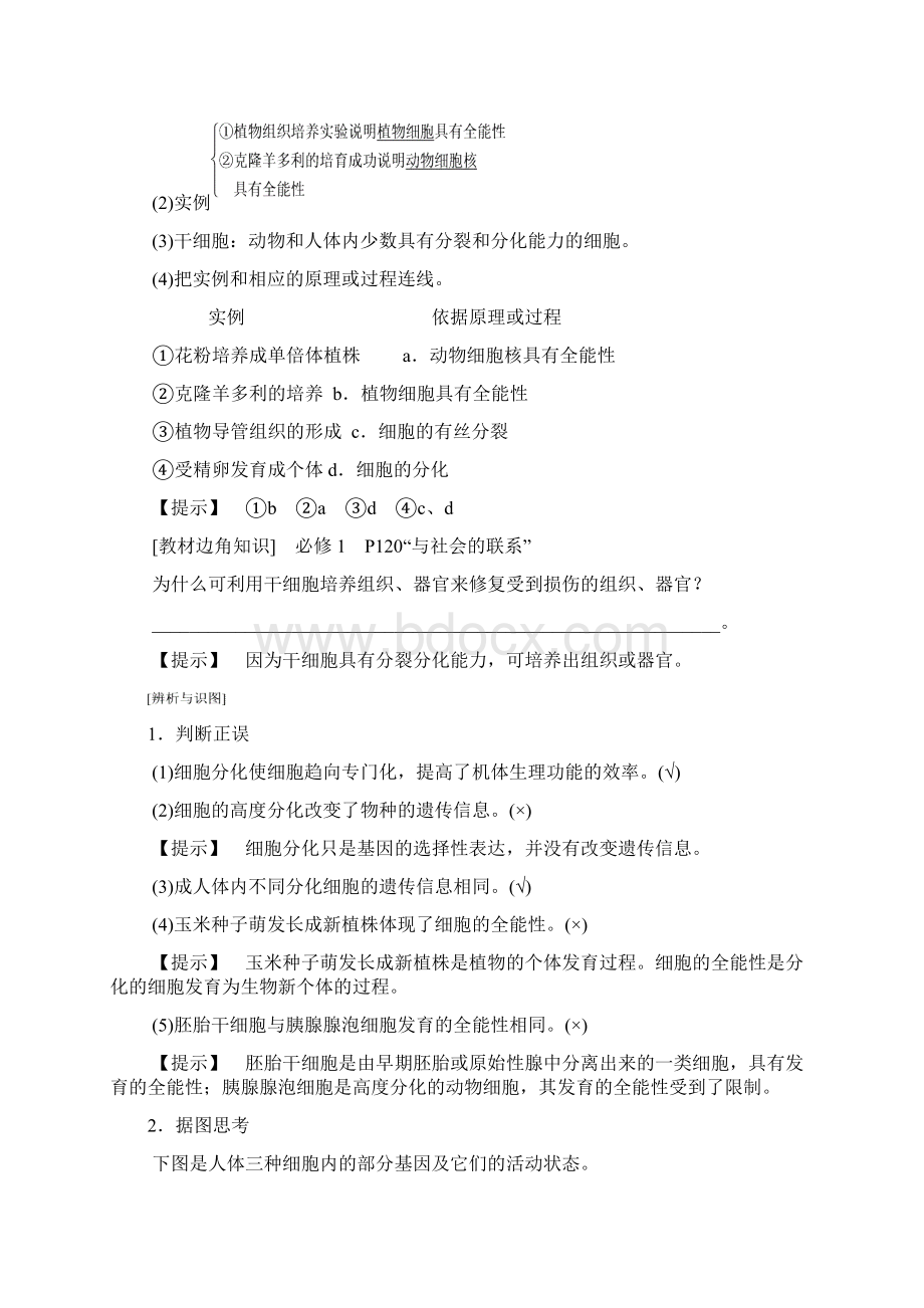 全国版版高考生物一轮复习第4单元细胞的生命历程第3讲细胞的分化衰老凋亡和癌变学案Word文件下载.docx_第2页