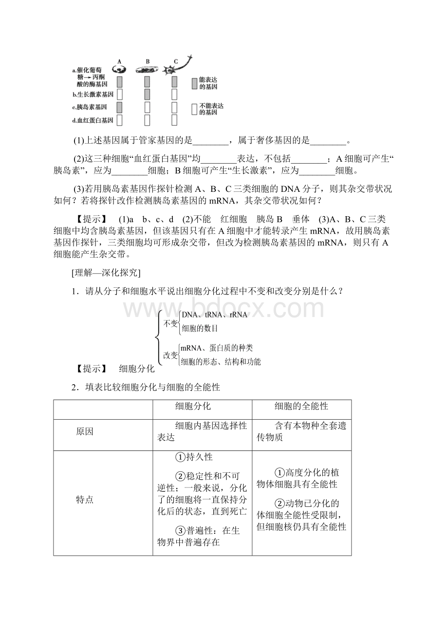 全国版版高考生物一轮复习第4单元细胞的生命历程第3讲细胞的分化衰老凋亡和癌变学案Word文件下载.docx_第3页