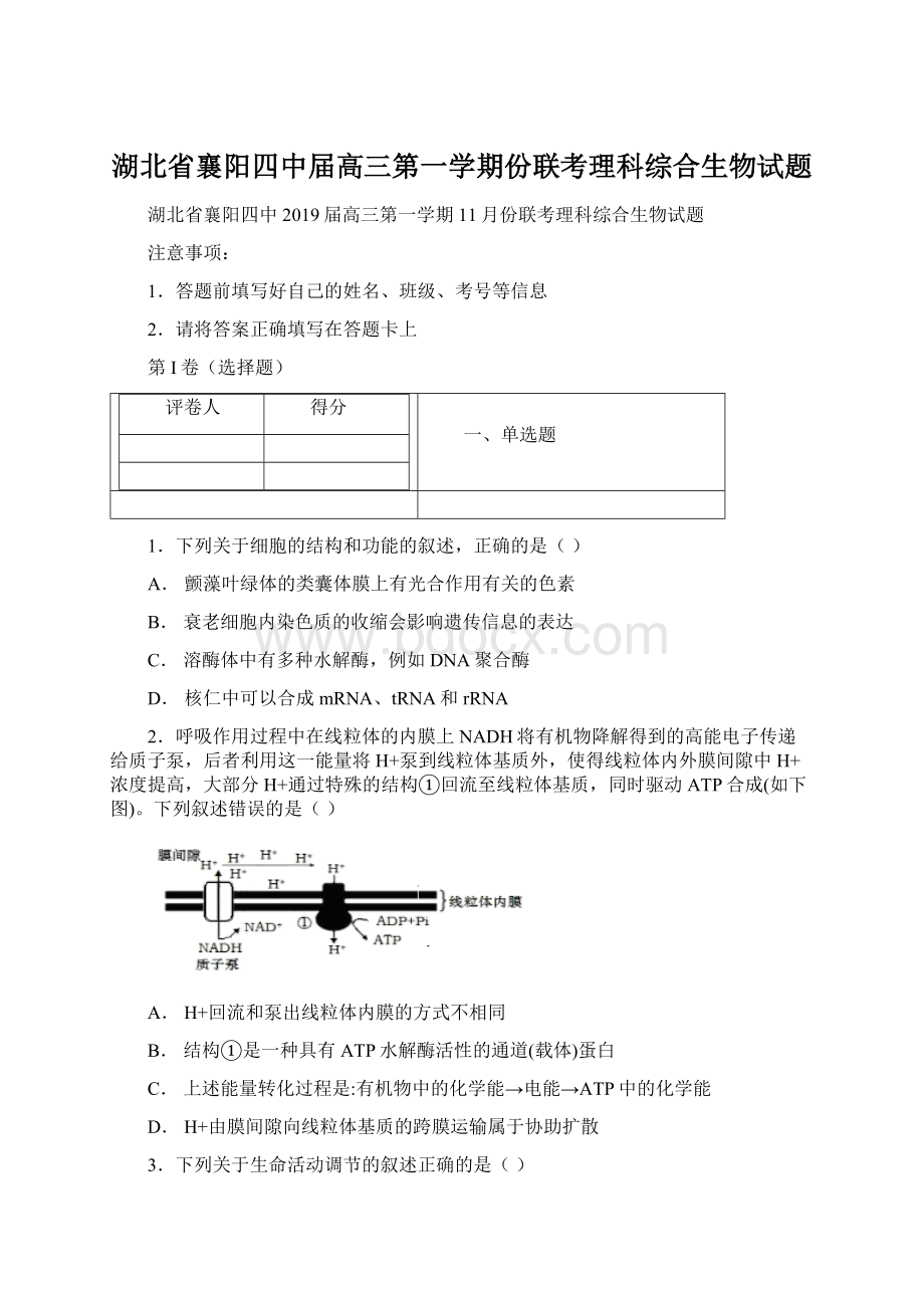 湖北省襄阳四中届高三第一学期份联考理科综合生物试题.docx