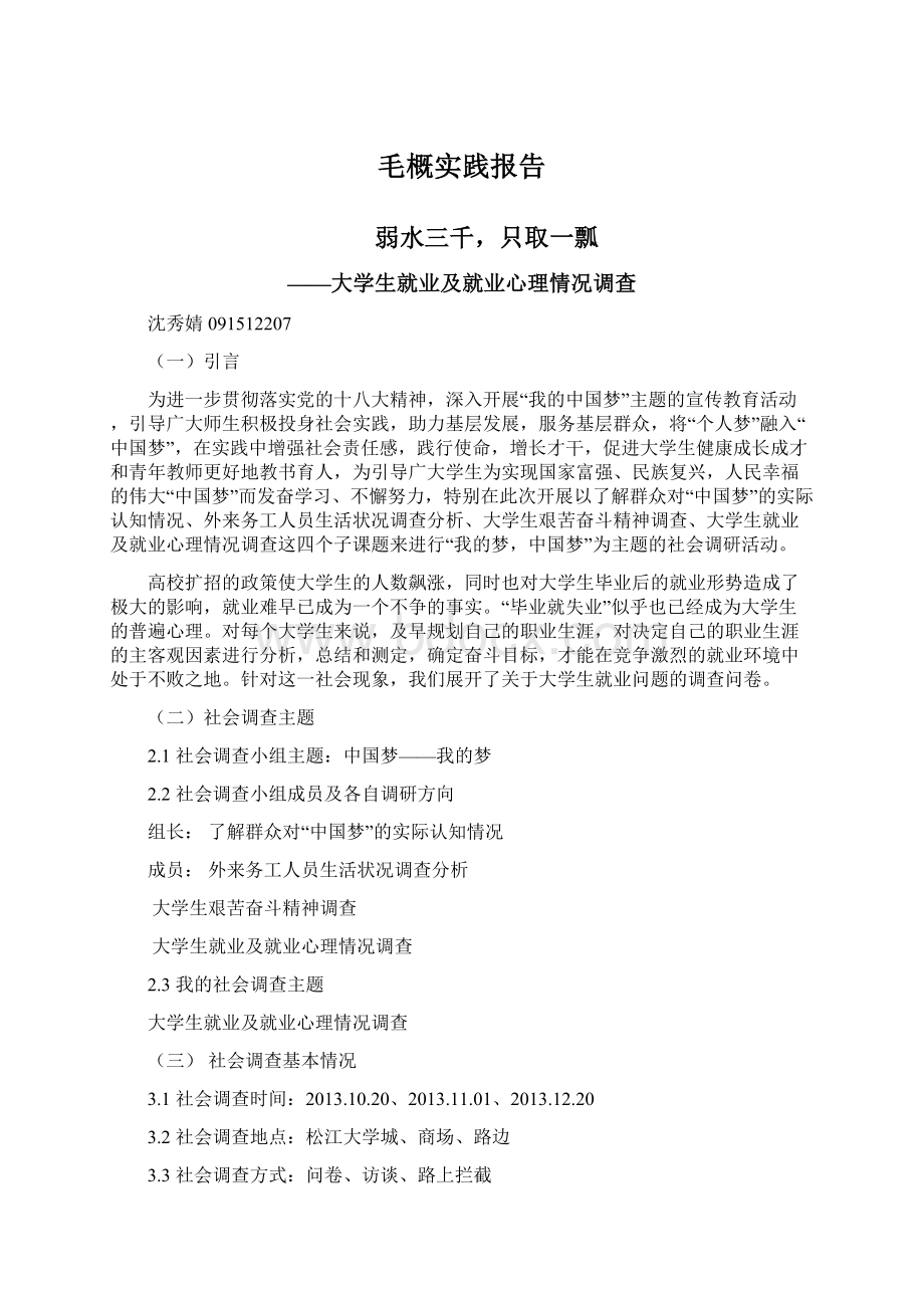 毛概实践报告.docx_第1页