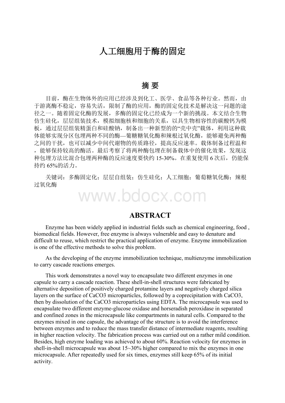 人工细胞用于酶的固定.docx