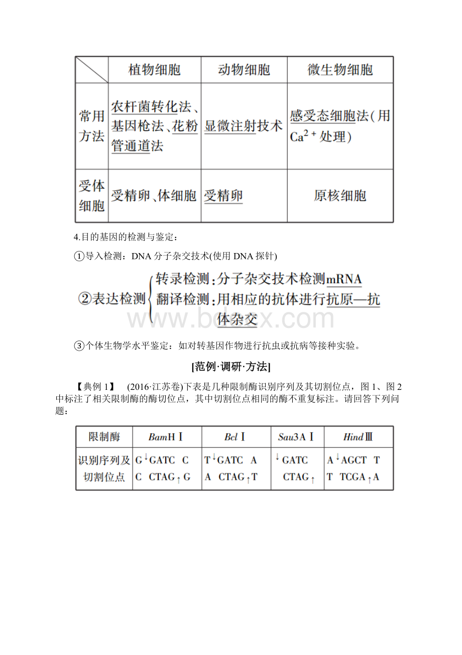 届二轮复习基因工程与细胞工程学案全国通用.docx_第3页