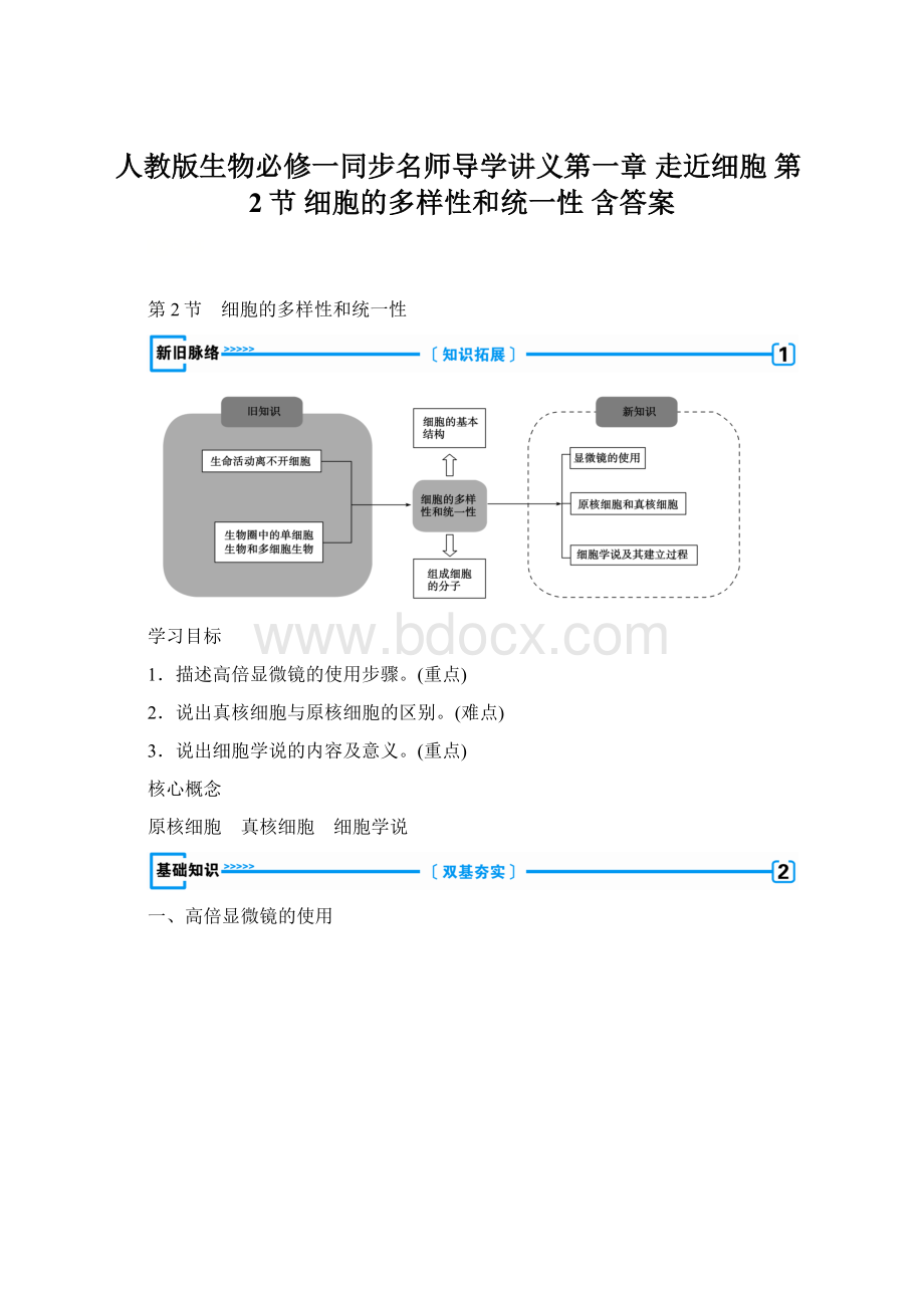 人教版生物必修一同步名师导学讲义第一章 走近细胞 第2节 细胞的多样性和统一性 含答案Word格式文档下载.docx