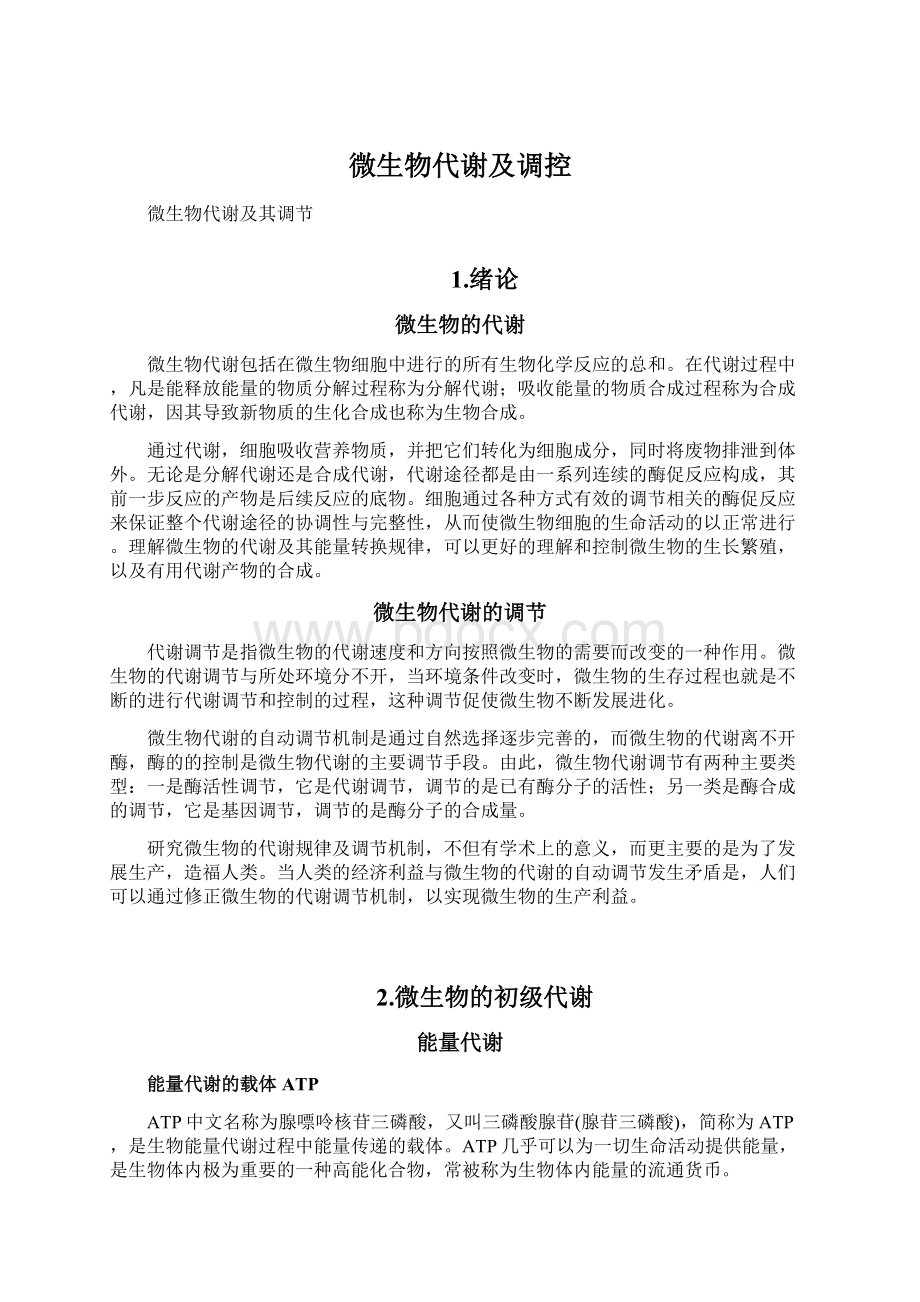 微生物代谢及调控Word文档下载推荐.docx