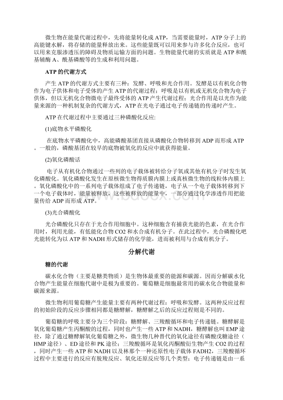 微生物代谢及调控Word文档下载推荐.docx_第2页