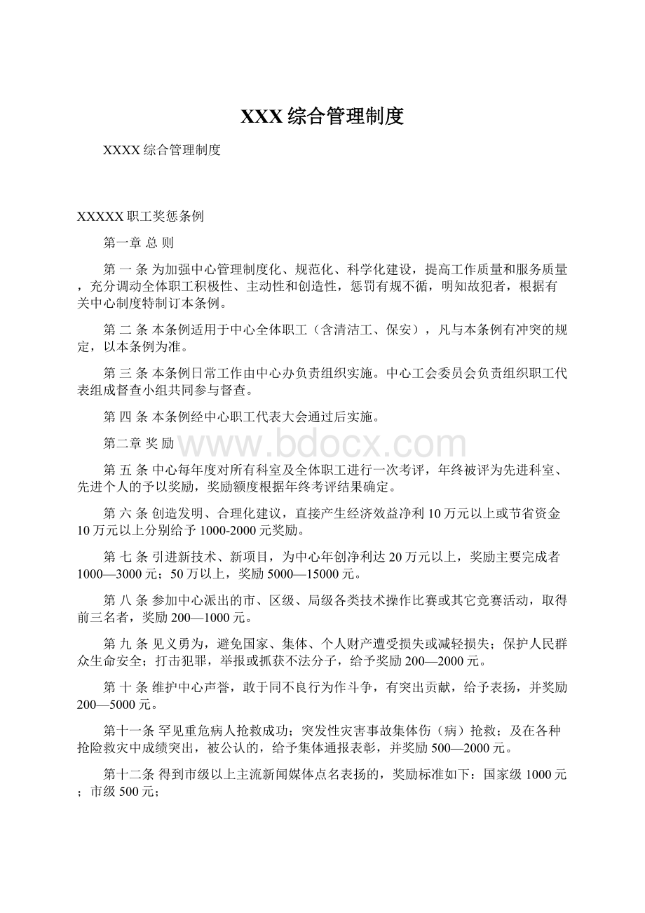 XXX综合管理制度文档格式.docx