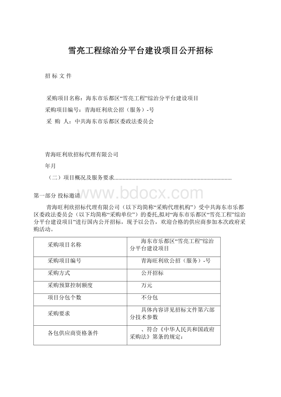 雪亮工程综治分平台建设项目公开招标Word文档下载推荐.docx