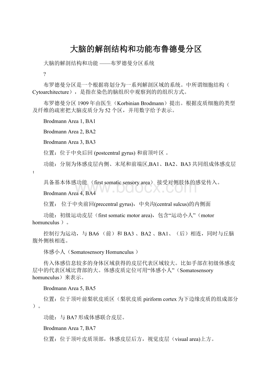 大脑的解剖结构和功能布鲁德曼分区.docx