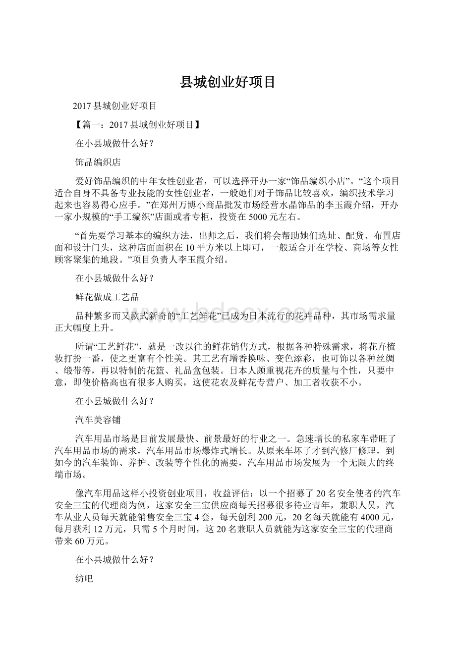 县城创业好项目Word格式文档下载.docx