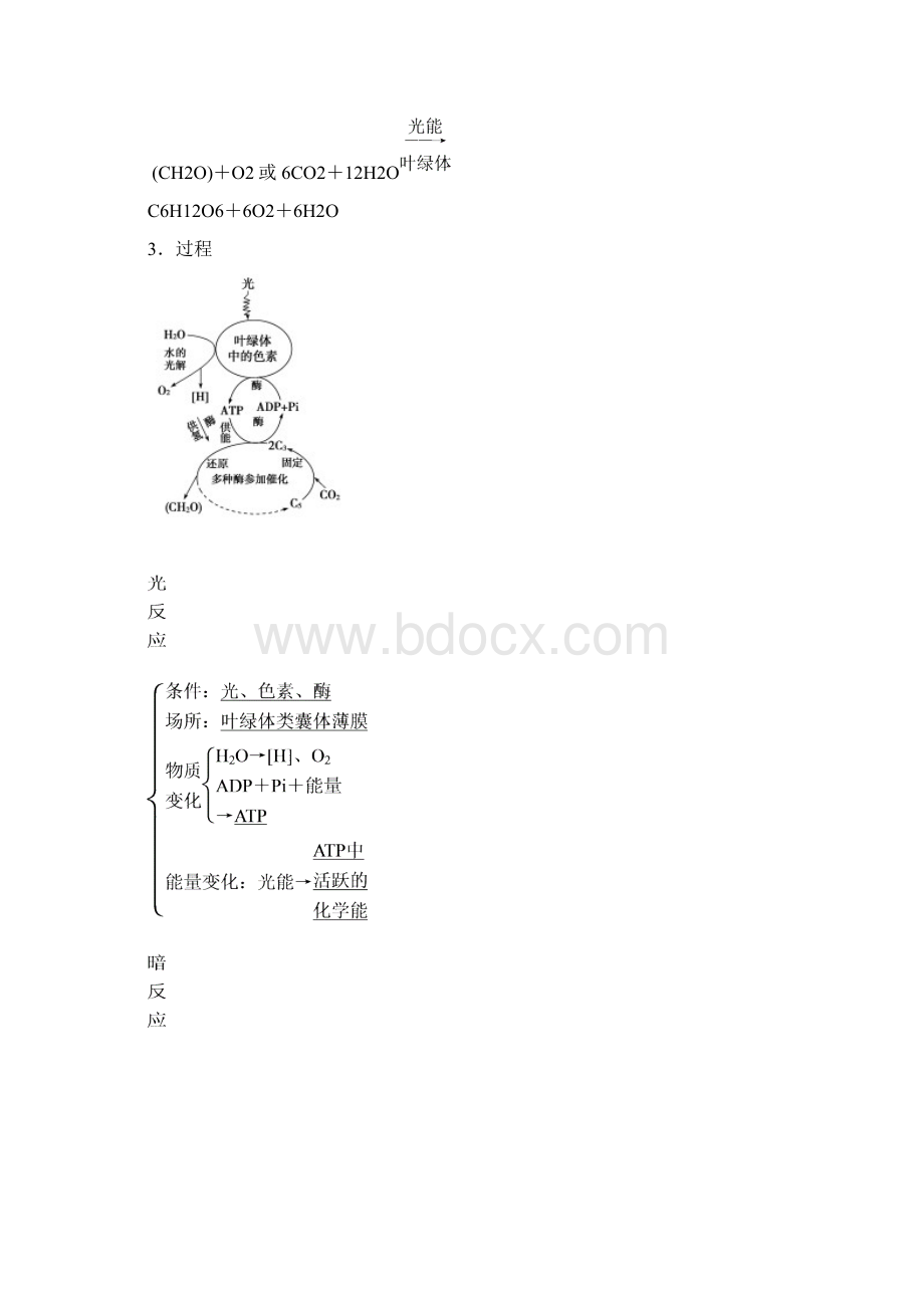 版 第3单元 第4讲 光合作用.docx_第2页