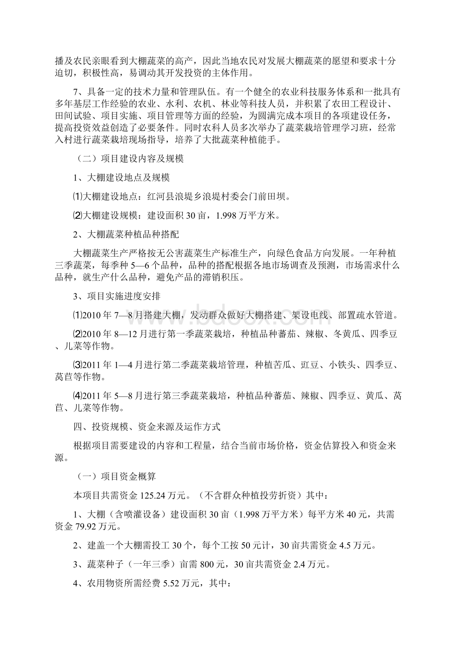 建设30亩大棚蔬菜种植示范项目可行性分析报告 归档资料Word文档格式.docx_第3页