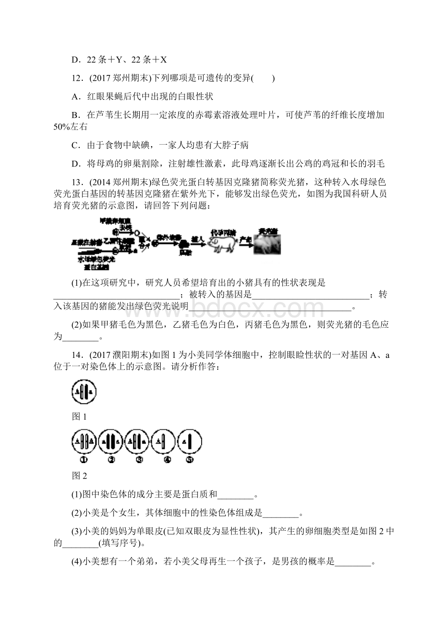 河南省中考生物总复习第1部分第7单元第2章生物的遗传与变异练习.docx_第3页