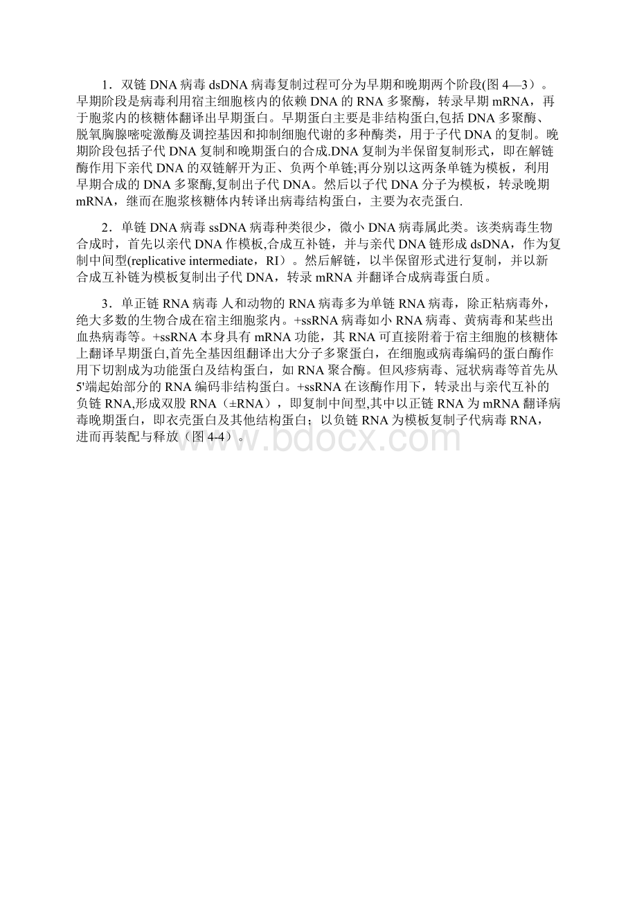 完整word病毒的复制增殖过程文档格式.docx_第3页