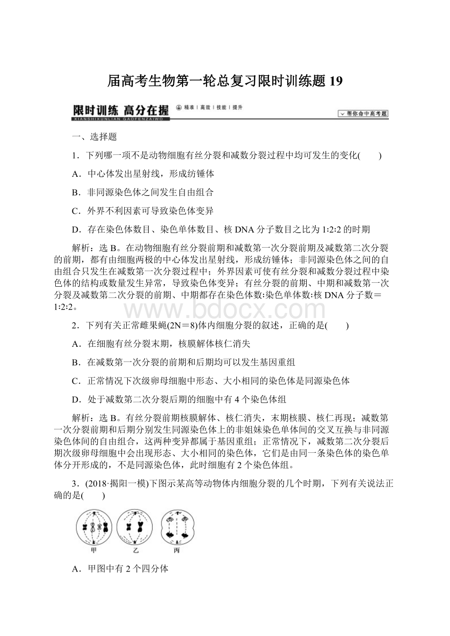 届高考生物第一轮总复习限时训练题19Word文档下载推荐.docx