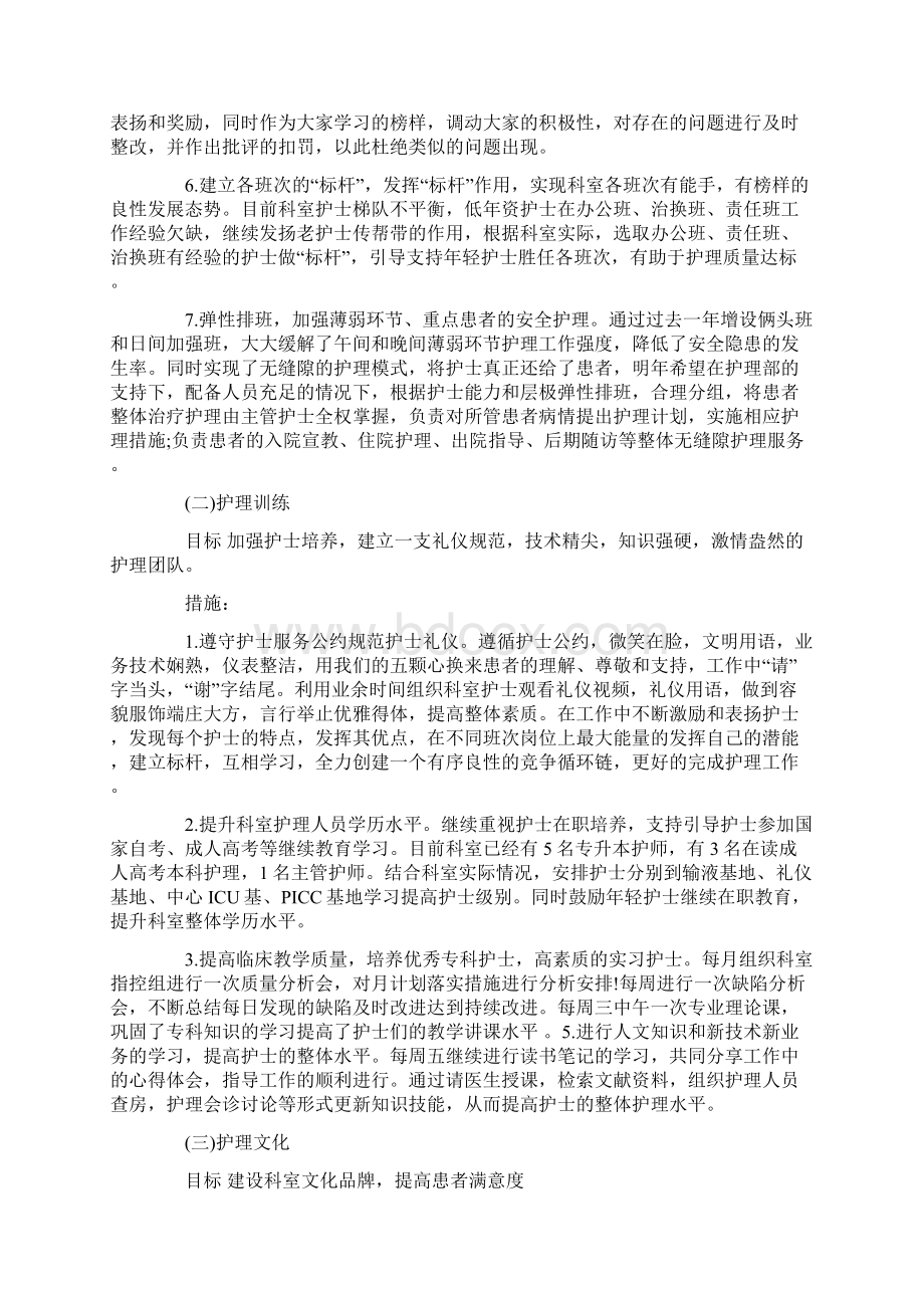 护理工作计划及达标措施.docx_第2页