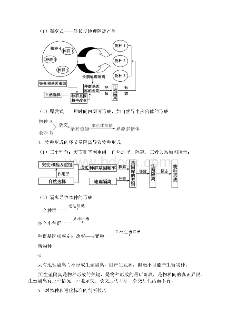 高三生物考点导学生物的进化Word下载.docx_第3页