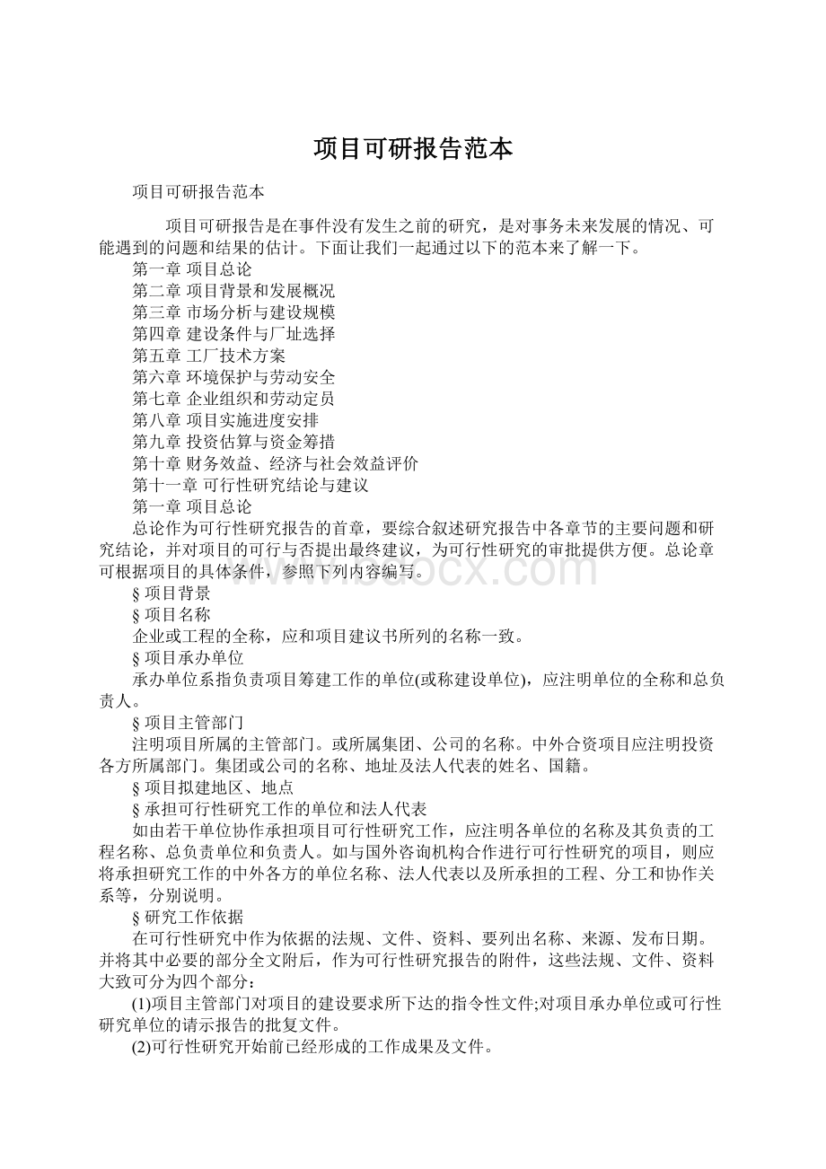 项目可研报告范本Word文档格式.docx