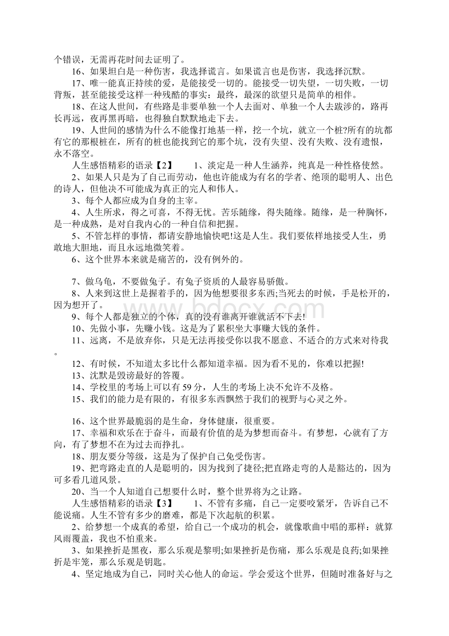 人生感悟精彩的语录文档格式.docx_第2页