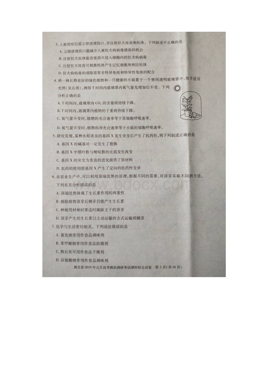 湖北省届高三联考测试理科综合试题图片版Word格式文档下载.docx_第2页