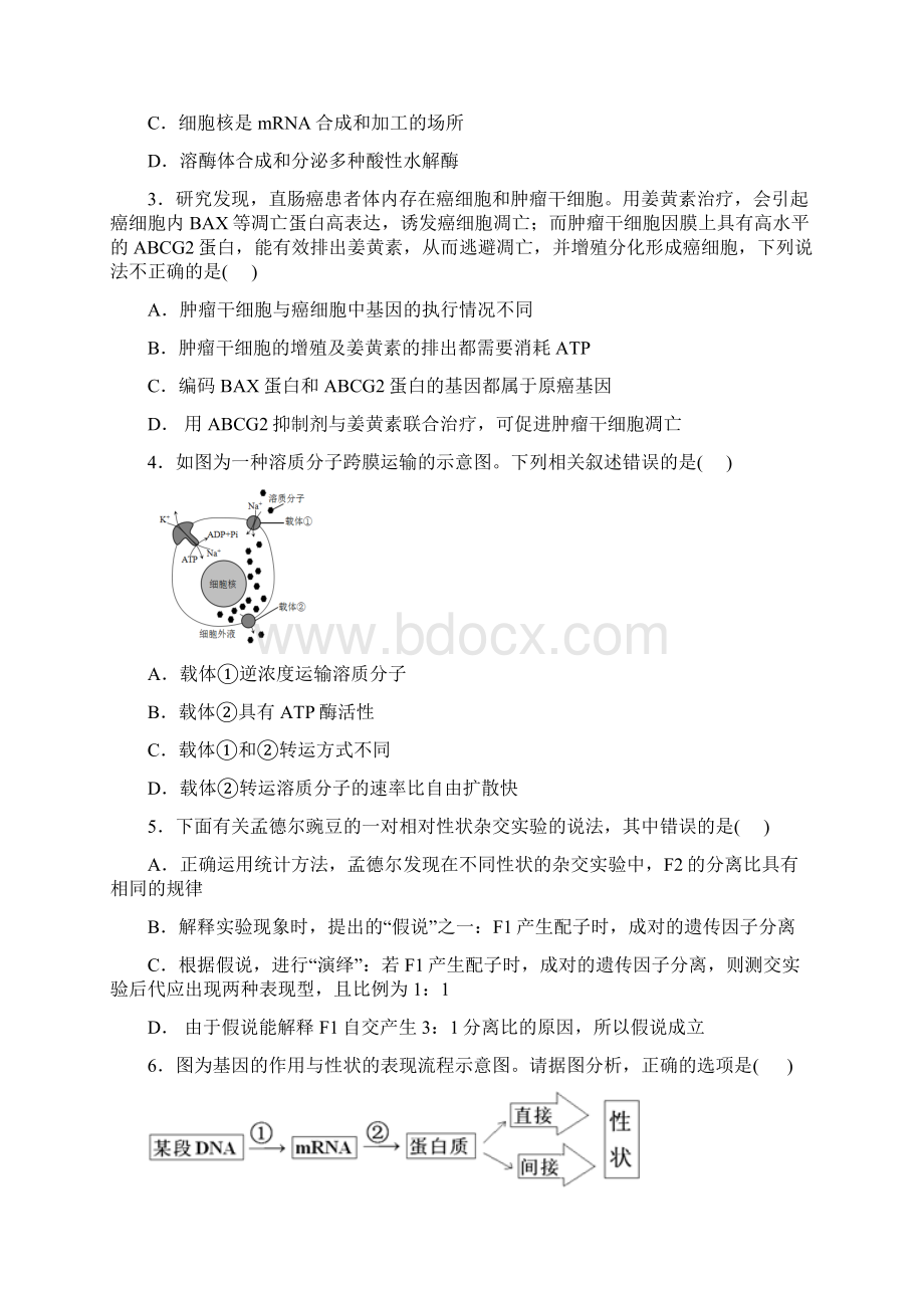 马鞍山二中安师大附中届高三阶段性测试理科综合试题.docx_第2页