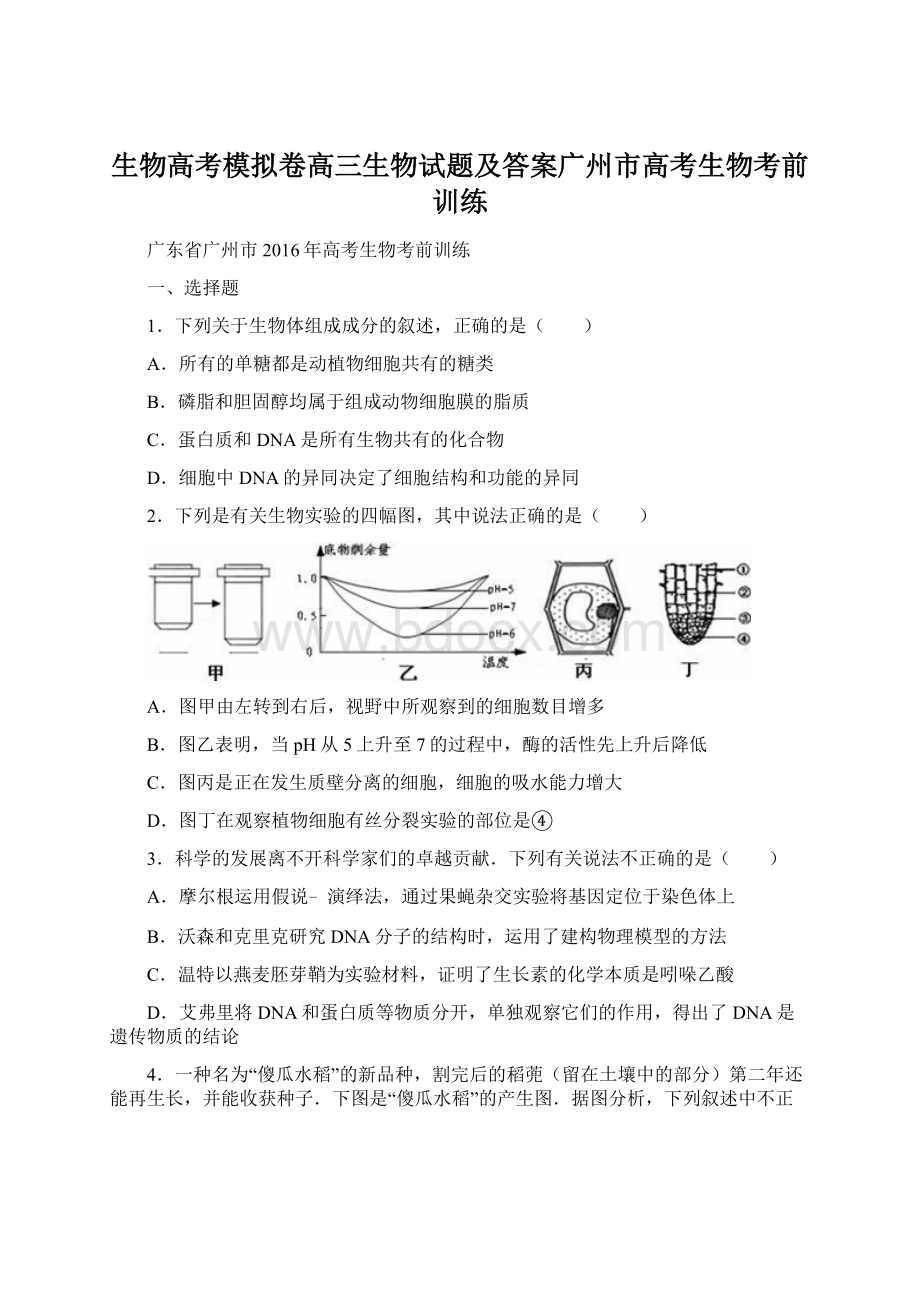 生物高考模拟卷高三生物试题及答案广州市高考生物考前训练Word文档格式.docx_第1页