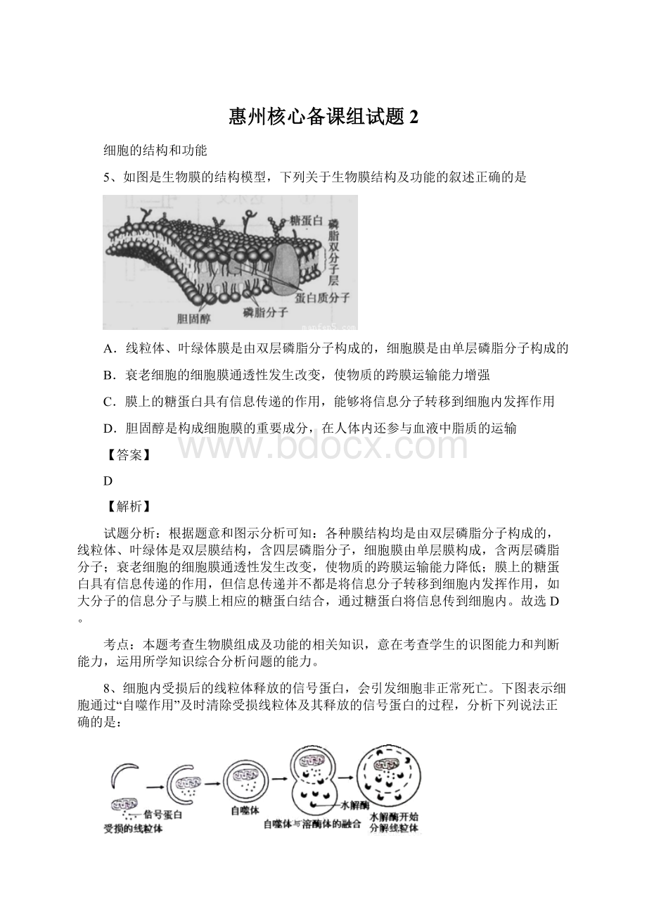 惠州核心备课组试题 2Word下载.docx_第1页