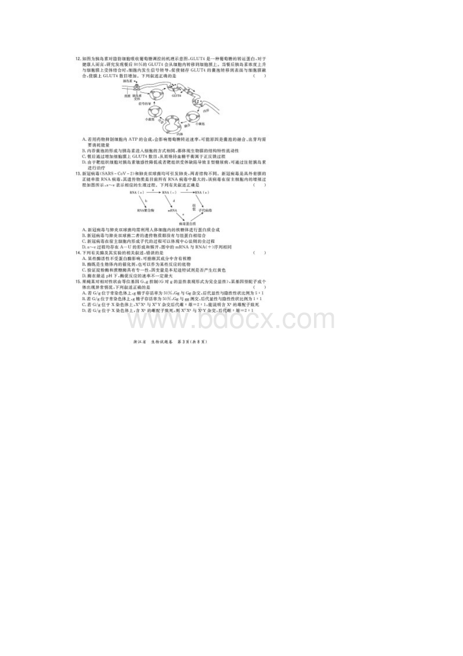 浙江省超级全能生届高三上学期联考生物试题含答案和解析09.docx_第3页